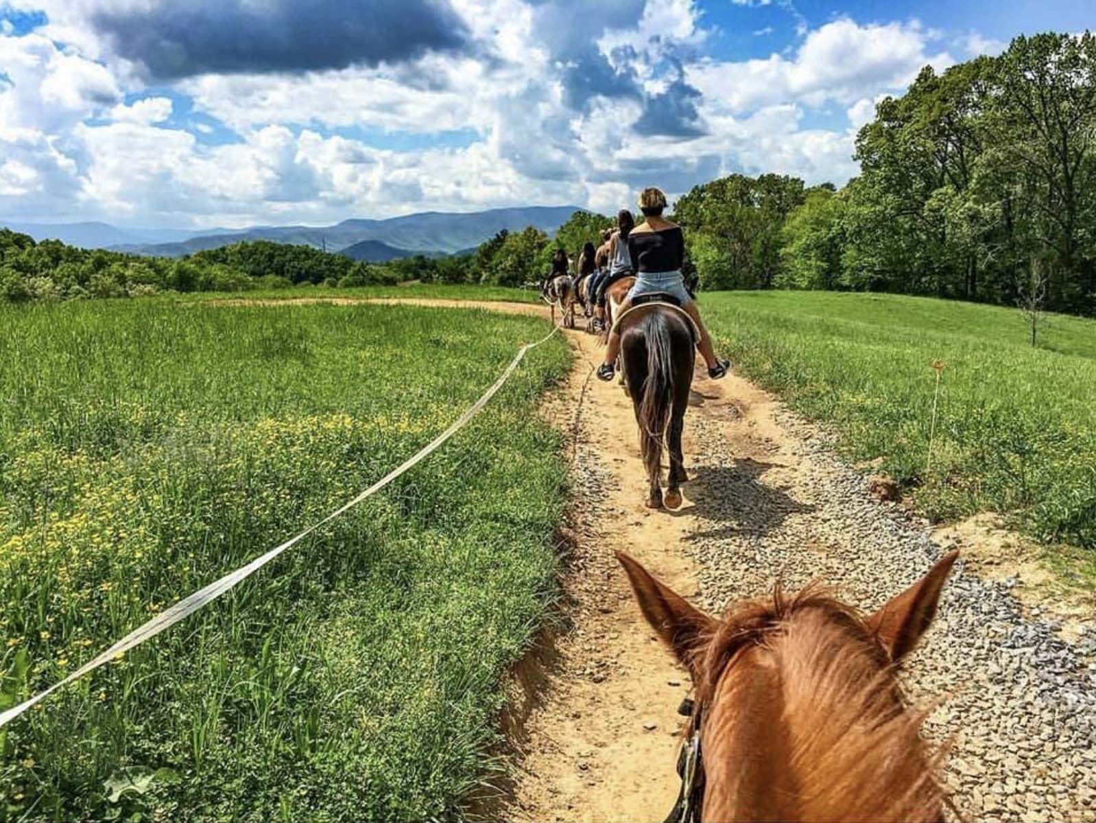 Horseback-Riding-Smokies-2.jpg