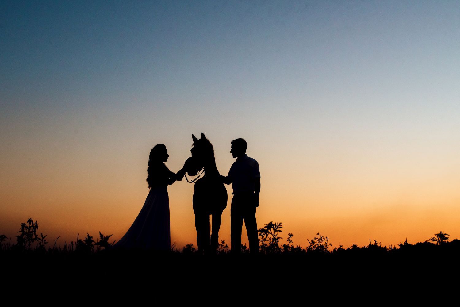 silhouettes-of-a-bride-in-a-white-dress-and-a-groo-2023-11-27-05-08-55-utc.jpg