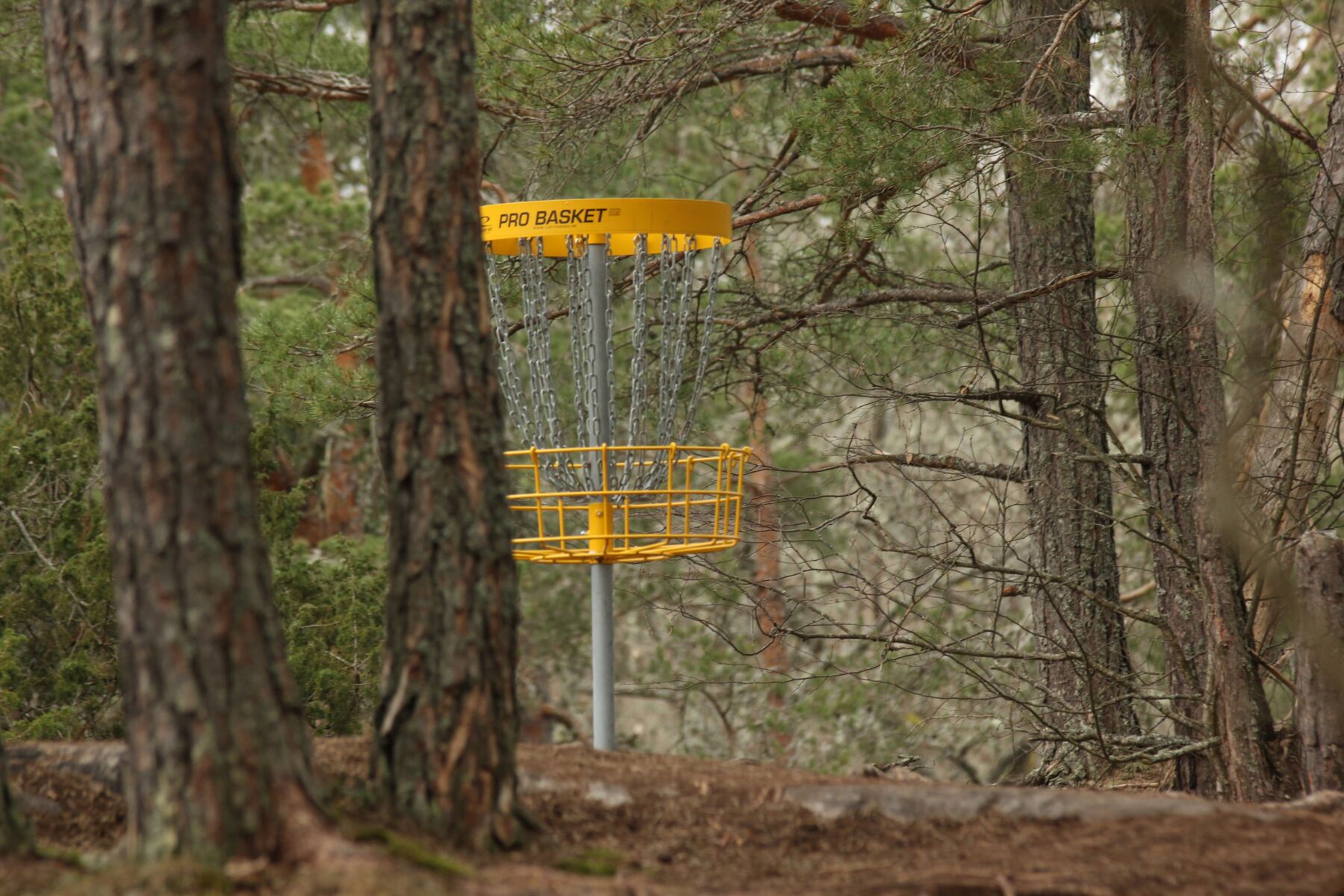 2-Nature-Centric-Disc-Golf-Courses-in-the-Smoky-Mountains.jpg