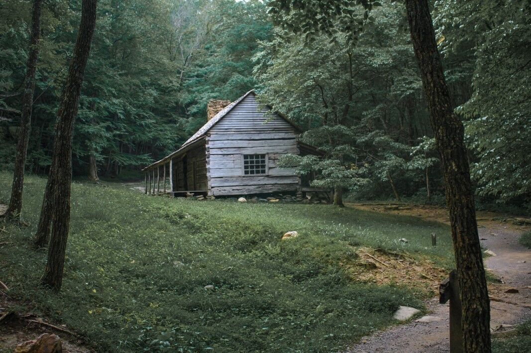 cabin-in-woods.jpg