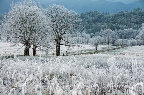 snowy covered field in TN