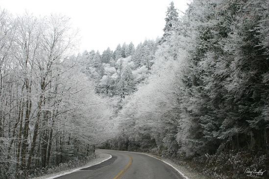view of a snowy windy road in gatlinburg